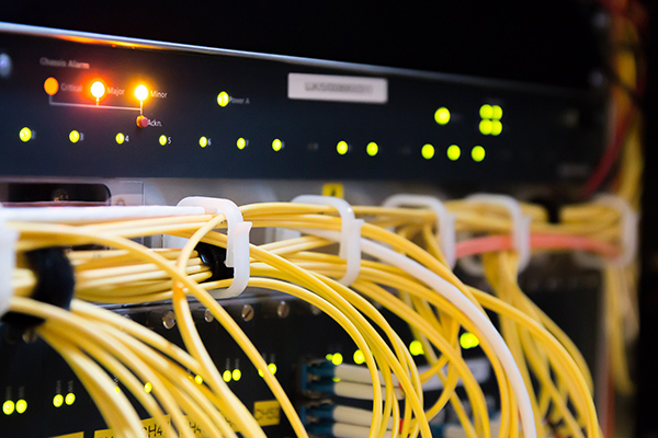 Website Hosting